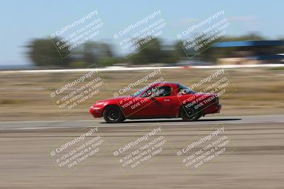 media/Oct-04-2025-OnGrid (Sat) [[44bd565ffa]]/Green Group/Grapevine/